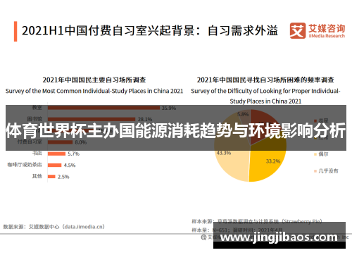 体育世界杯主办国能源消耗趋势与环境影响分析