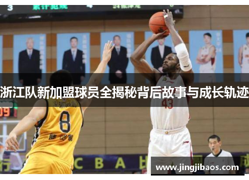 浙江队新加盟球员全揭秘背后故事与成长轨迹