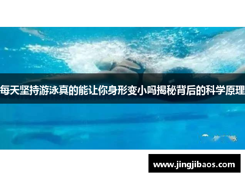 每天坚持游泳真的能让你身形变小吗揭秘背后的科学原理